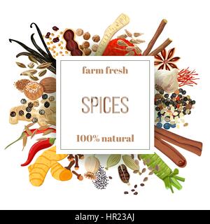 Culinary spices big set under squire emblem. Bunch of cooking seasonings. Farm fresh. For cosmetics, restaurant, store, natural health care products.  Stock Vector