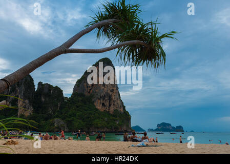 Palm tree hanging over Railay beach in Krabi, Thailand Stock Photo