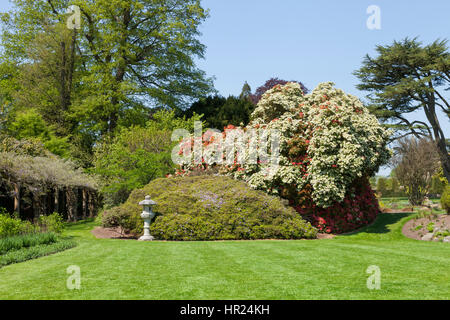Red and white flowering trees and shrubs in a colorful english garden with a stone oriental lantern standing on the lawn . Stock Photo
