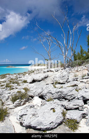 The rocky landscape of uninhabited island Half Moon Cay (The Bahamas). Stock Photo