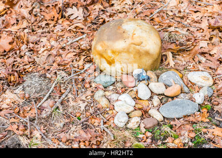 a pets simple grave in the woods on a fall day Stock Photo