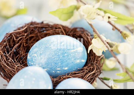 Easter eggs colored a natural blue with extreme shallow depth of field. Selective focus on egg in nest. Stock Photo
