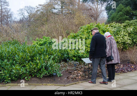 London, UK - February 18, 2017: An Elderly retired senior citizen couple relaxing at Kew Royal Botanical Garden. Stock Photo