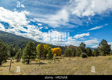 The Enchanted Circle Scenic Byway is an 84 mile New Mexico Scenic Byway and National Forest Scenic Byway around Wheeler Mountain located in Northern N Stock Photo