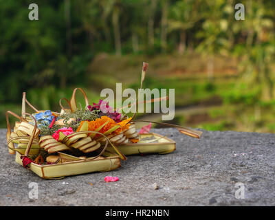Balinese traditional offerings to gods and spirits with rice terraces on the back. Bali, Indonesia Stock Photo