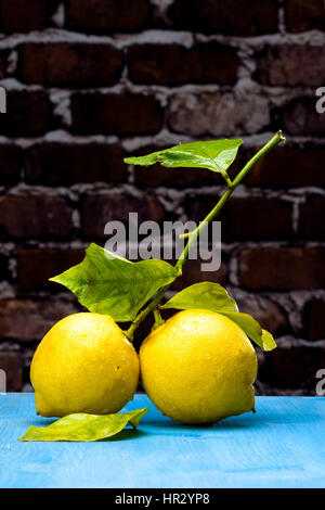 Two yellow lemons and leaf over a black wooden table blue Stock Photo