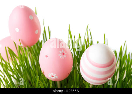 Pink Easter eggs and green wheat plant  on white Stock Photo