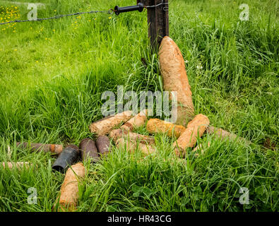 Unexploded bomb shells from World War One in West Flanders, Belgium Stock Photo