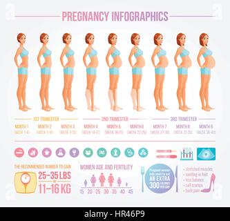 Nine months of pregnancy in progress illustration. Beautiful cartoon style pregnant woman. Infographic vector set with icons and design elements. Stock Vector