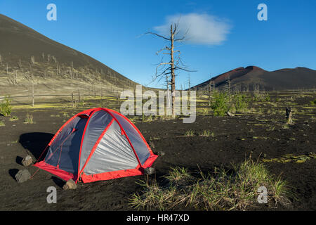 Tourist tent in Dead wood - consequence of catastrophic release of ash during the eruption of volcano in 1975 Tolbachik Stock Photo