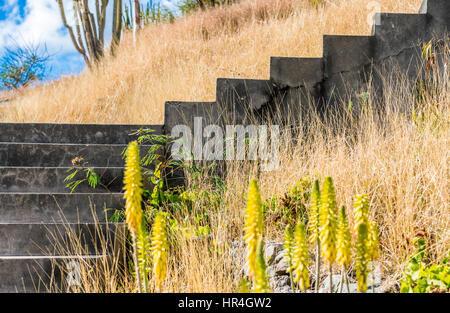 set of concrete steps leading up a hill in Gustavia St Bart's Stock Photo