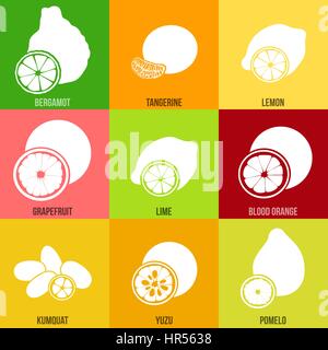 Citrus fruits hand drawn vector squared icon big set. Bergamot, lemon, grapefruit, lime, mandarin, pomelo, yuzu, blood orange, kumquat. For cosmetics, Stock Vector