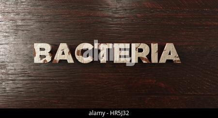 Bacteria - grungy wooden headline on Maple  - 3D rendered royalty free stock image. This image can be used for an online website banner ad or a print  Stock Photo