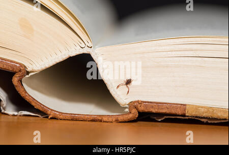 Book scorpion Stock Photo