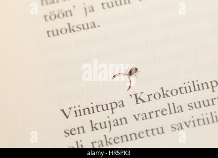 Book scorpion Stock Photo