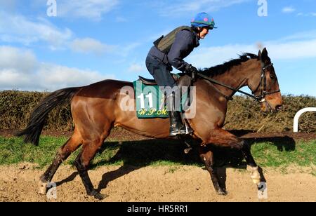 Vroum Vroum Mag and trainer Willie Mullins' wife Jackie on the gallops during a visit to his stables at Closutton, Carlow, Ireland. Stock Photo