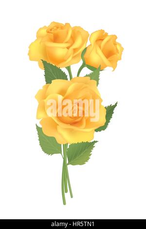 Flower rose posy isolated on white background Stock Vector