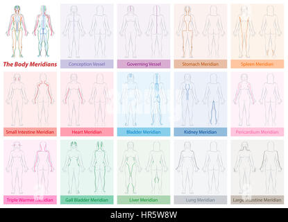 Body meridian chart of a womans body - with names and different colors - Traditional Chinese Medicine. Illustration on white backgroun Stock Photo