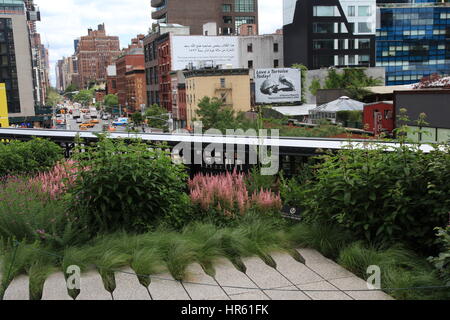 Elevated view from The High Line down West 17th Street. Foreground shows the vibrant flowers and shrubs planted in the park