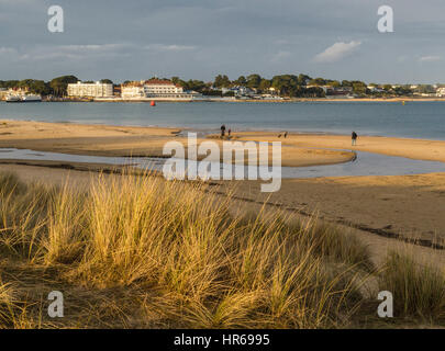 Studland Heath and Shell Bay Beach with Sandbanks background, Poole Bay, Dorset, UK Stock Photo