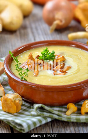 Cream of potato soup with fresh chanterelles and creme fraiche Stock Photo
