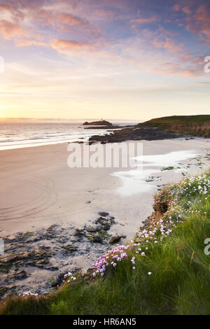 Spring flowers (Thrift) in the cliffs overlooking Godrevy lighthouse, near Hale in Cornwall. Stock Photo