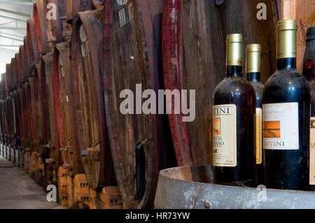 a beautiful View on the Contini winery, Vernaccia vine Cabras, Sinis, Sardinia, Italy Stock Photo