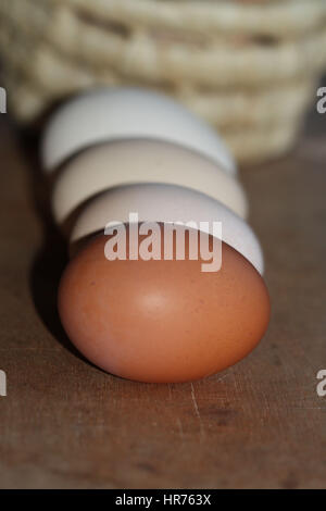 colored eggs closeup lying in a row Stock Photo