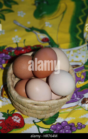 Eggs from the village chickens in the basket are on the fabric Stock Photo
