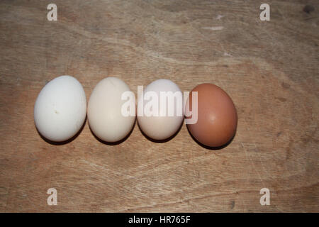 Eggs of different colors from the village chickens are in a row on the table Stock Photo