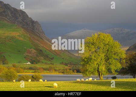 Nanlle Lake Snowdonia, Stock Photo