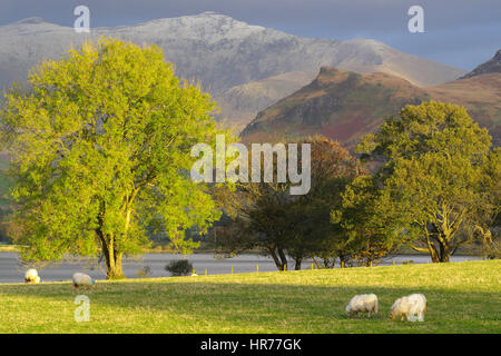 Nanlle Lake Snowdonia, Stock Photo