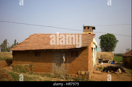 Poor Indian household (farm) 6. Cattle, house. Andhra Pradesh, Anantapur Stock Photo