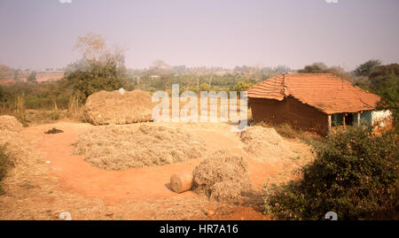 Poor Indian household (farm). house and drying of hay. Andhra Pradesh, Anantapur Stock Photo