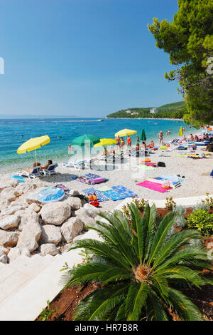 Beach in Makarska Riviera, Tucepi - Croatia Stock Photo - Alamy