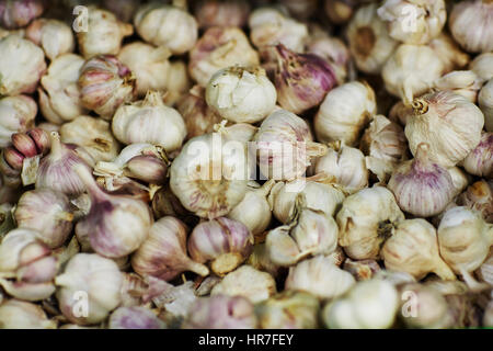 Pile of fresh garlic bulbs on market stand, close-up shot Stock Photo