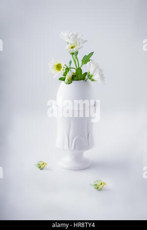 Bunch of white chrysanthemum flowers growing from egg shell  Stock Photo