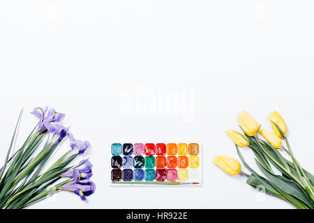 Purple irises, yellow tulips and watercolor paint on white background, top view Stock Photo