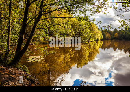 Speech House Lake in the Forest of Dean in Gloucestershire. Stock Photo