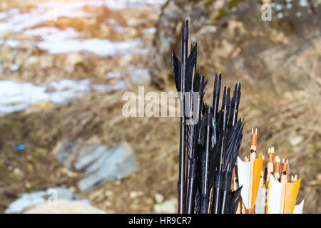 Arrows for archery and crossbow targets. Arrow handmade with natural feathers. National sports entertainment outdoors. Hit target as success of busine Stock Photo