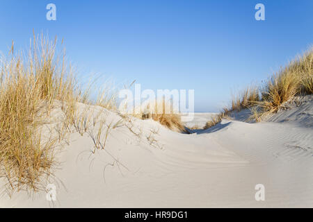 View on beach and sea between two dunes grown with Marram grass Stock Photo