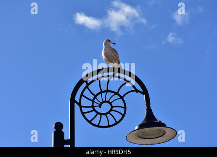 Seagull sitting on ammonite shaped  lamp post in Lyme Regis,Dorset,United Kingdom. Stock Photo