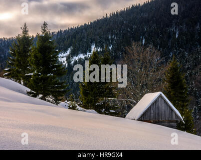 woodshed behind the snowy hill near spruce forest in winter mountains early in the morning Stock Photo