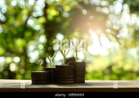 silver coin stack and tree in concept of growth business background. Stock Photo
