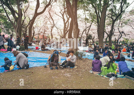 TOKYO, JAPAN - APRIL 1ST, 2016: Tokyo Crowd enjoying Cherry blossoms festival in Ueno Park. Stock Photo