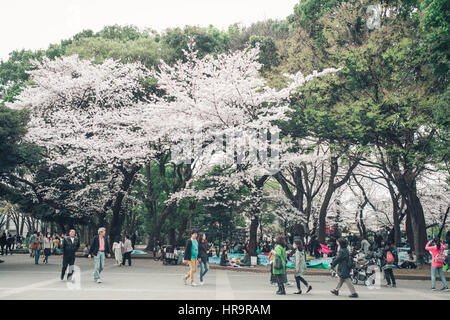 TOKYO, JAPAN - APRIL 1ST, 2016: Tokyo Crowd enjoying Cherry blossoms festival in Ueno Park. Stock Photo