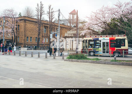 TOKYO, JAPAN - APRIL 1ST, 2016: Cherry Blossoms tree on Street. Stock Photo