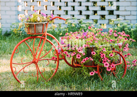 Decorative Vintage Model Old Bicycle Equipped Basket Flowers Garden. Toned Photo. Stock Photo