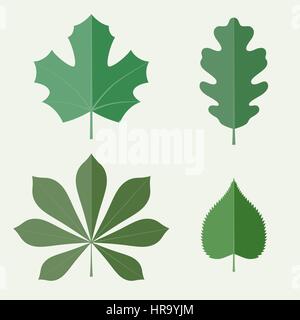 Flat leaves Stock Vector