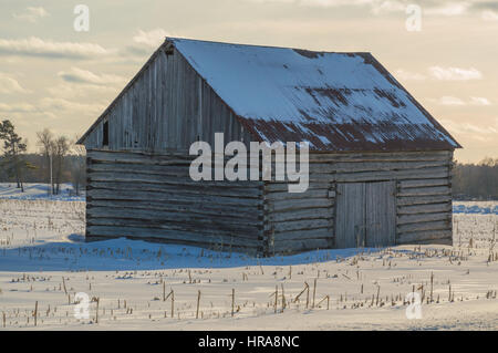 Pioneer log cabin barn in Eastern ontario in winter landscape.  Sun is setting, clouds in the sky ansd corn stalks stick up in the snowy field. Stock Photo